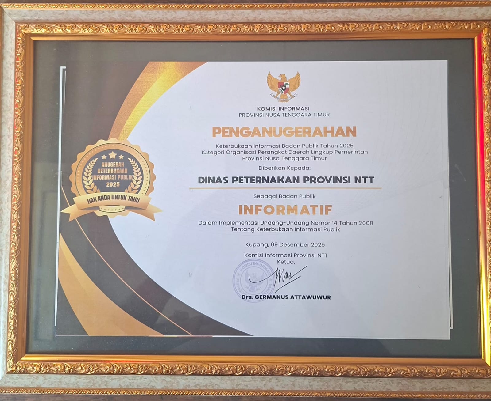 WhatsApp Image 2025-12-10 at 15.09.45